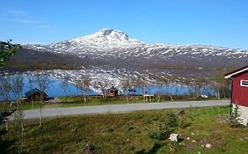Karistua